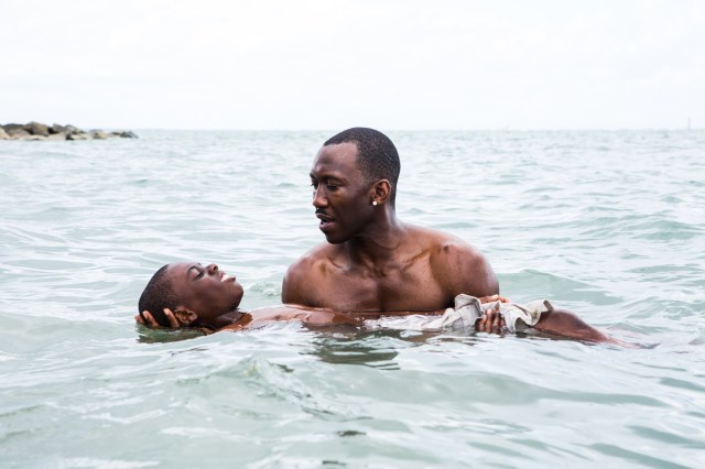 'Moonlight,' 2016 (Collider)